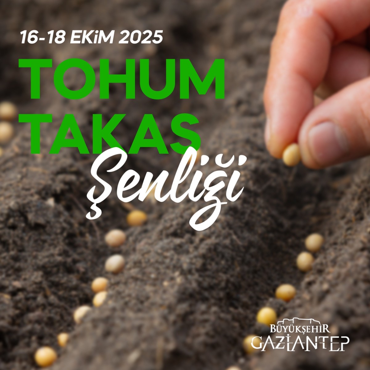 Tohum-Takas Şenliği